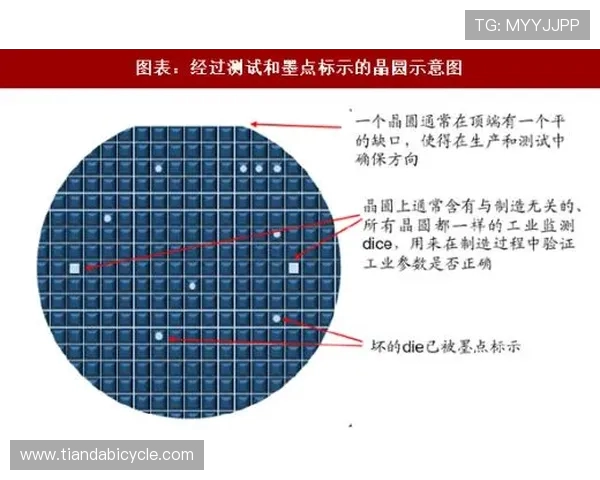 武汉飞盘队运营策略深度分析与成功经验分享 武汉飞盘队运营策略深度分析与成功经验分享