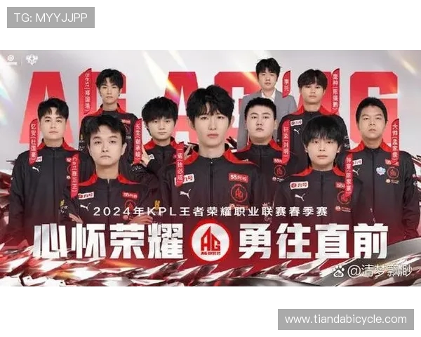 王者荣耀盛宴揭秘FPX战队的节奏与策略之道