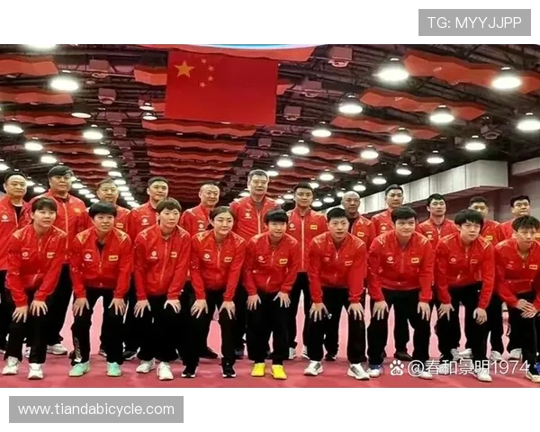 西安乒乓球队荣获全国团队协作排行榜第三名的辉煌成就