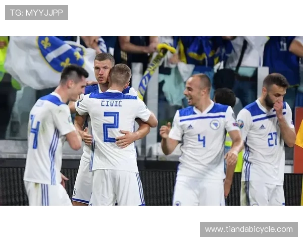 欧国联精彩对决奥地利迎战波黑力争胜利 欧国联精彩对决奥地利迎战波黑力争胜利