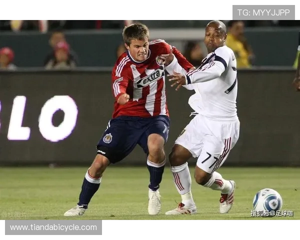 盐湖城与休斯顿新浪的对决分析与未来展望