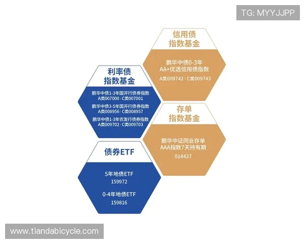LNG战队防守策略分析与成败得失的深度剖析 LNG战队防守策略分析与成败得失的深度剖析