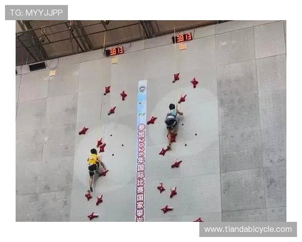 成都攀岩队在世界锦标赛中的耐力表现分析与点评