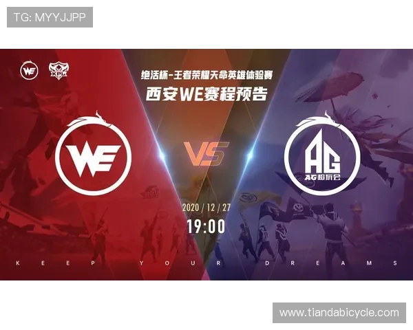 王者荣耀战术解析：深入探讨WE战队的区域防守策略与执行
